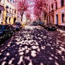 tomoiagafineart avatar