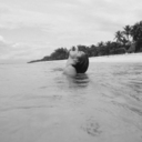 tongan-coconut avatar