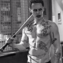 tonyturtle474 avatar