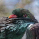 too-many-butterflies avatar