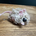 too-many-hyperfixations avatar