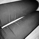 too-stupid-to-starve avatar