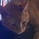 tooanxiousforthisht avatar