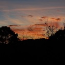 toobrightsunsets avatar