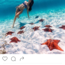 toocarelessforahuman avatar