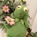 toolazytocare avatar