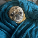 toopainfultowatch avatar