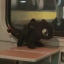 toothless-gifs avatar