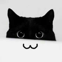 tooweird-kitty avatar