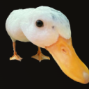 topologicalqbit avatar