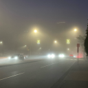 torchlightfader avatar