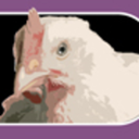 torontochickensave avatar