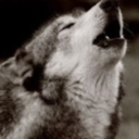 toseeyourstarshine avatar