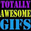 totallyawesomegifs avatar