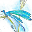 tothesummerday avatar