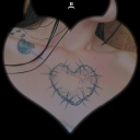 tournesol-fletri avatar