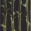 trainspotterrrrs avatar