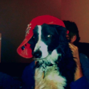 trangenerdogboy avatar