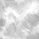 tranquilamujer avatar