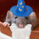 transedwizard avatar