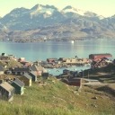 transgenderchild avatar