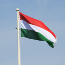 translatingpostsintohungarian avatar
