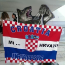 translatingpoststocroatian avatar