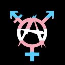 transrevolutionaryanarchist avatar