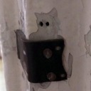 transtomwambsgans avatar