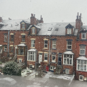 trashgirl2424 avatar