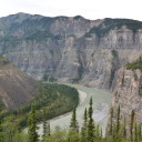 trashpandadreams avatar