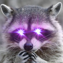 trashraccoonking avatar