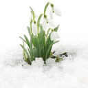 traumaisnofun avatar