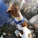 travelledspace avatar