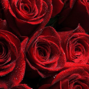 treasureinthevase avatar