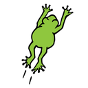 treefrogtrekssf avatar