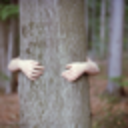 treehuggerz avatar