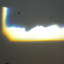 treeintheearth avatar