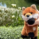 treesap-blogs avatar