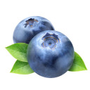 treetopblueberries avatar