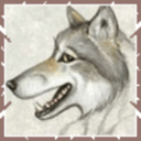 tremendouslyspeedywolf avatar