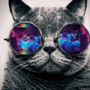 tremendouslystupendoustyrant avatar