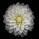 trial-error404 avatar