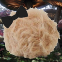 tribble-from-wonderland avatar