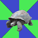 trichtortoise avatar