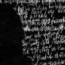 tricksterringmaster avatar