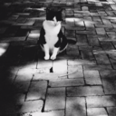 triinakiins-blog avatar