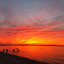 triippingwithreality avatar