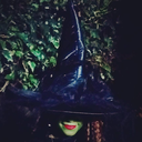 tripping-on-nonsense avatar