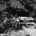 trippingmysteps avatar